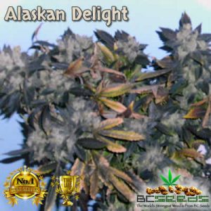 Alaskan Delight