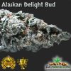 Alaskan Delight Bud