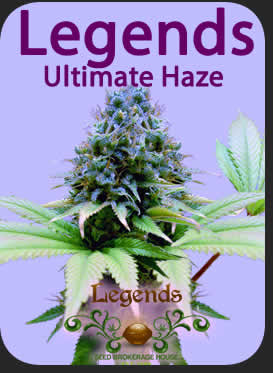 Legends Ultimate Haze