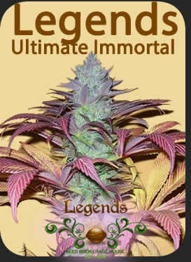 Legends Ultimate Immortal