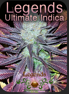 Legends Ultimate Indica
