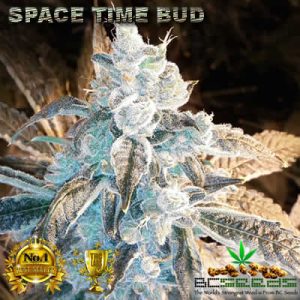 Space Time Bud Flowering