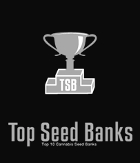top-seed