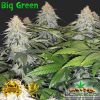 BC Big Green