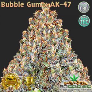 Bubble Gum x AK-47