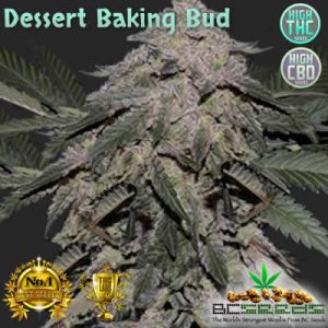 Dessert Baking Bud