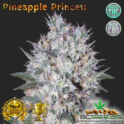 Pineapple Princess