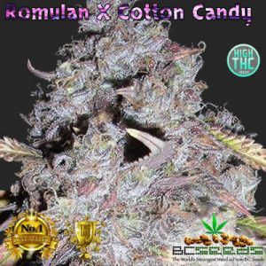 Romulan X Cotton Candy