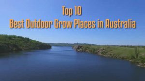 Best outdoor grow places Australia