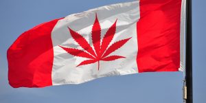 Canadian Legalized Marijuana
