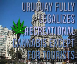 Uruguay Fully Legalizes Recreational Cannabis Except For Tourists