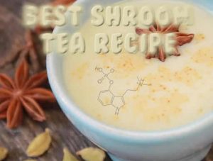 Best Shroom Tea Recipe