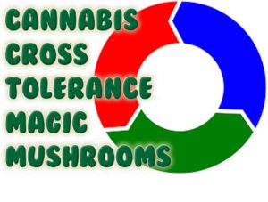 Cannabis Cross Tolerance Magic Mushrooms