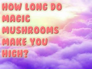 How Long Do Magic Mushrooms Make You High