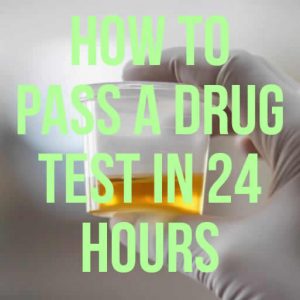 Pass a Drug Test in 24 Hours