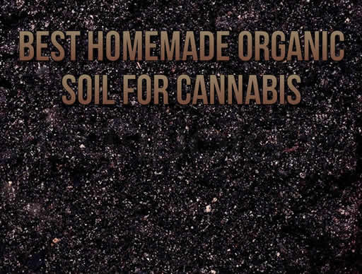 Best Homemade Organic Soil For Cannabis