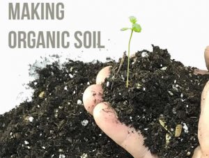 Making Your Own Organic Soil