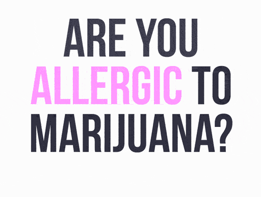 Are you allergic to marijuana