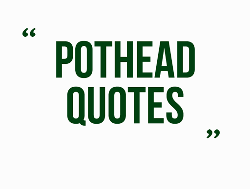 Pothead Quotes