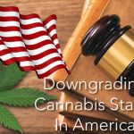 Downgrading Cannabis Status In America