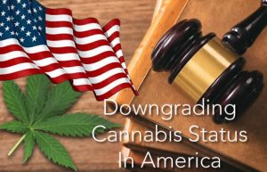 Downgrading Cannabis Status In America