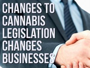 Changes to cannabis legislation