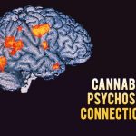 Cannabis psychosis connection
