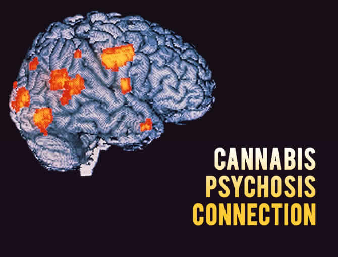 Cannabis psychosis connection
