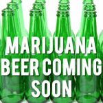 Marijuana Beer Coming Soon