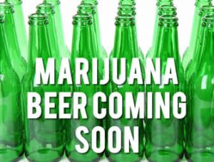 Marijuana Beer Coming Soon