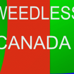 Cannabis shortage across Canada