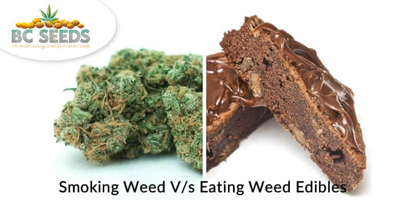 Smoking weed vs eating weed edibles