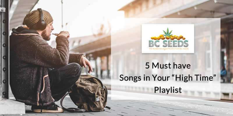 5 Must have Songs in Your High Time Playlist