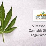 5 Reasons Why Cannabis should be Legal worldwide