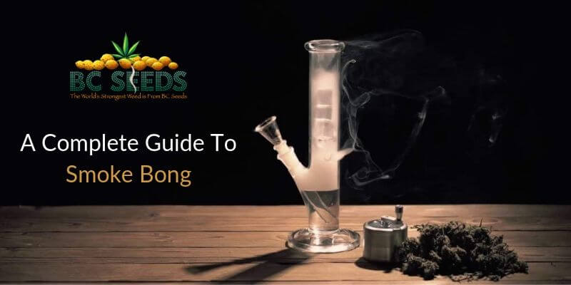 A Complete Guide To Smoke Bong