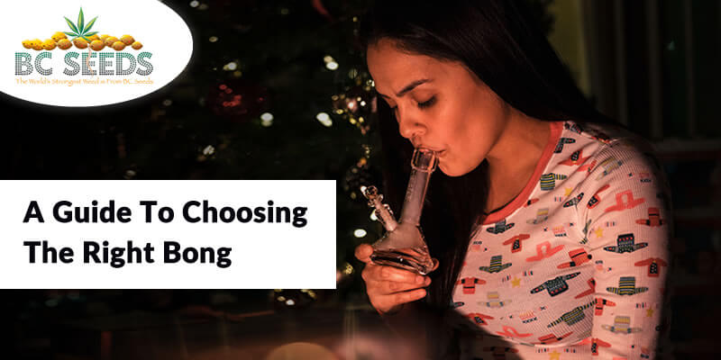 A Guide to choosing the Right Bong