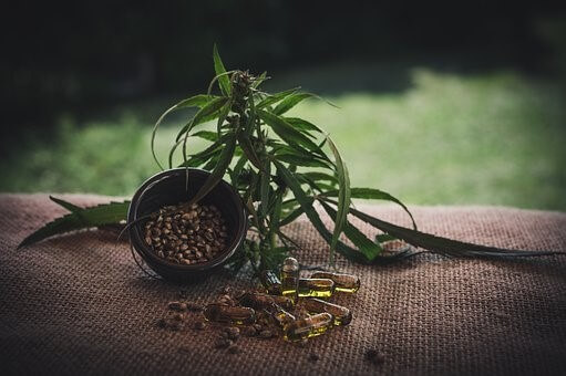 Benefits of cannabis seeds