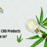 Types of CBD Products