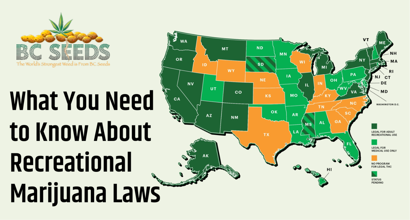Facts About Recreational Marijuana Laws