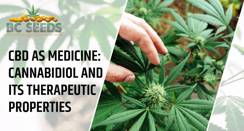 cannabidiol and its therapeutic properties