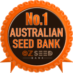 Best Australian Seed Bank 2022