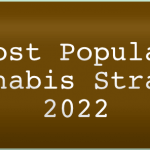 Most Popular Cannabis Strains 2022