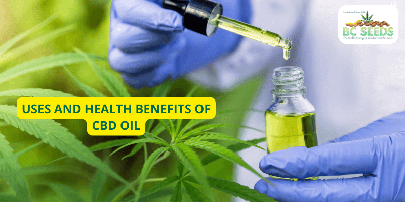 Uses And Health Benefits of CBD Oil
