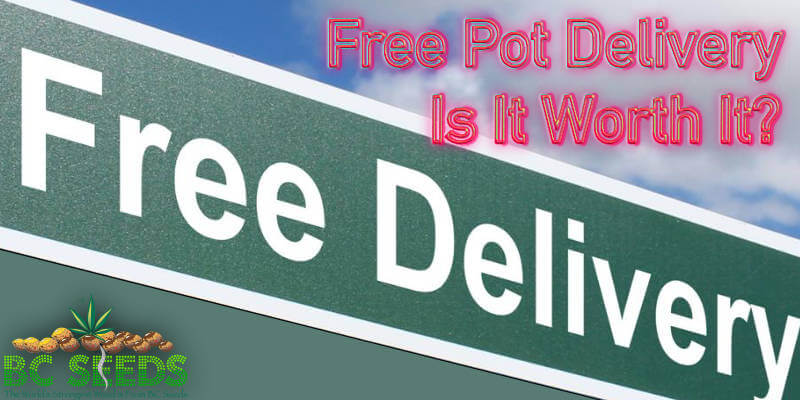 Free Pot Delivery