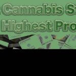 Best Cannabis Strain For Highest Profits