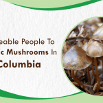 Hunt Magic Mushrooms