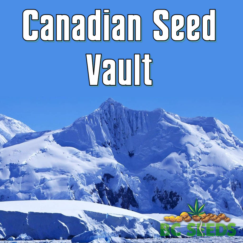 Canadian Seed Vault
