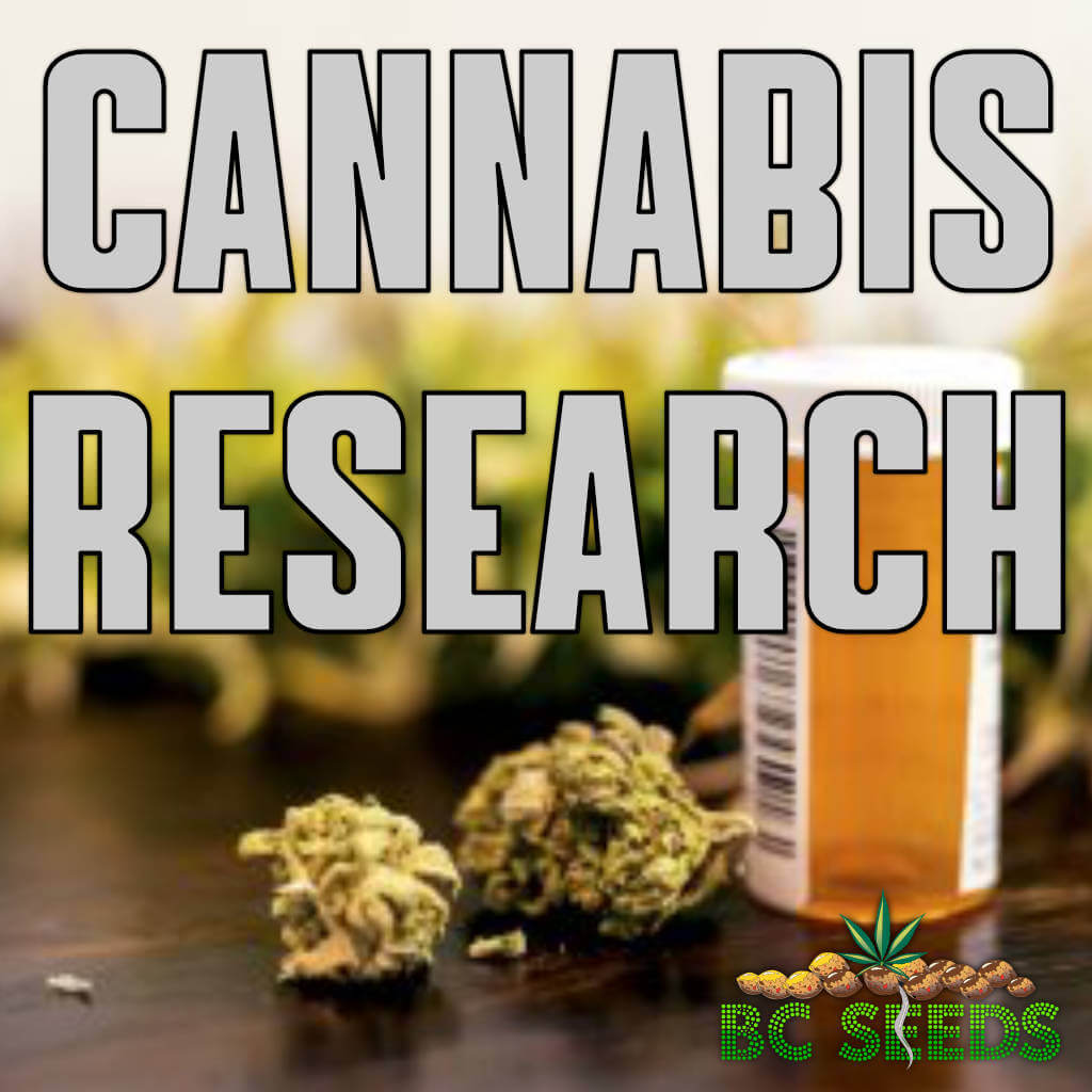 Cannabis Research