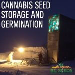 Cannabis seed storage and germination