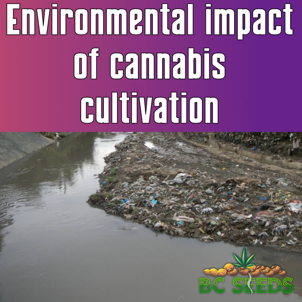 As the cannabis industry continues to grow, it's important to consider the environmental impact of cannabis cultivation. From water waste to pesticide use and pollution, the cannabis industry can have a significant impact on the environment.